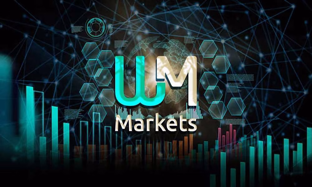 روش های واریز و برداشت در WM Markets