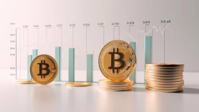 ولیدیتور چیست؟