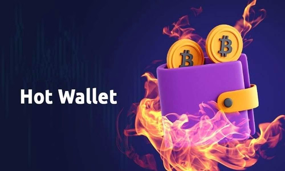 1.     ولت‌های گرم (Hot Wallets)